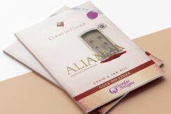 Curso para casais - aliança - UDF